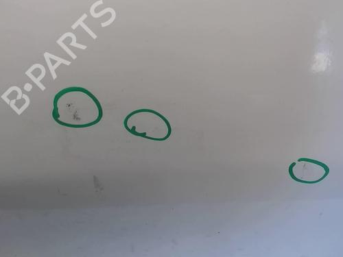 Left front door PEUGEOT 206 Hatchback (2A/C) 1.9 D | BP18214854C2 