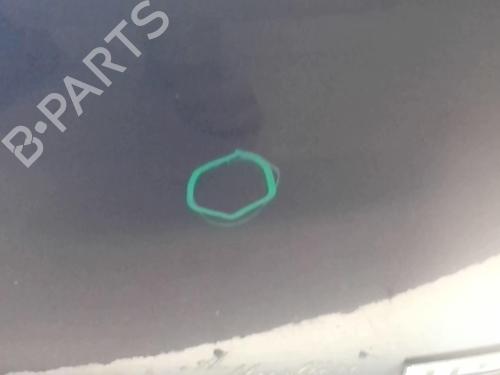 Used Tailgate Tailgate FORD FOCUS C-MAX (DM2) 1.6 TDCi (90 hp) 18224732 18224732