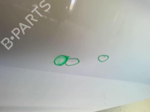 Left rear door CITROËN C4 II (NC_) 1.6 BlueHDi 100 | BP18219509C4