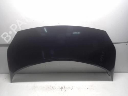 Hood RENAULT SCÉNIC II (JM0/1_) 1.5 dCi (JM1E, JM16) 18227962 | B 