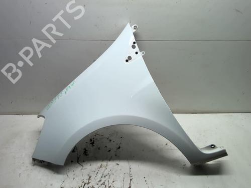 Left front fenders RENAULT CLIO III (BR0/1, CR0/1) 1.5 dCi (C/BR0G, C/BR1G) | BP18229910C41