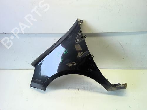 Used Left front fenders RENAULT CLIO III (BR0/1, CR0/1) 1.5 dCi (C/BR0G, C/BR1G) (68 hp) 18220167