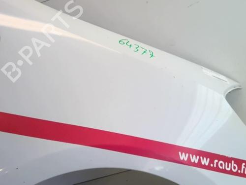 Right front fenders RENAULT CLIO III (BR0/1, CR0/1) 1.5 dCi (C/BR0G, C/BR1G) | BP18213876C42 