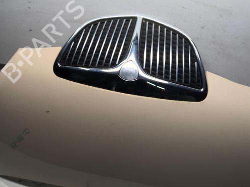 Hood LANCIA YPSILON (843_) 1.2 (843.AXB1A) | BP18210767C1 
