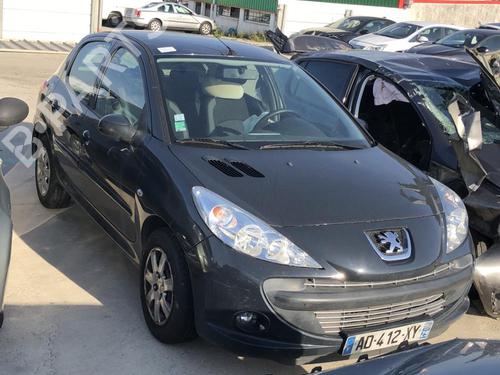 Left front door PEUGEOT 206+ (2L_, 2M_) 1.4 i (2LKFWA, 2MKFWA) | BP18227245C2 