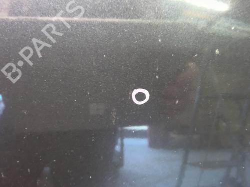 Hood RENAULT SCÉNIC II (JM0/1_) 1.9 dCi (JM14) | BP29501428C1 