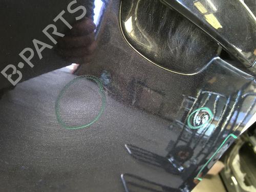 Left front door CHEVROLET CAPTIVA (C100, C140) 2.0 D | BP29029468C2 