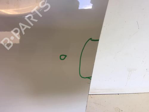 Left front door CITROËN C3 II (SC_) 1.6 HDi | BP18229570C2 