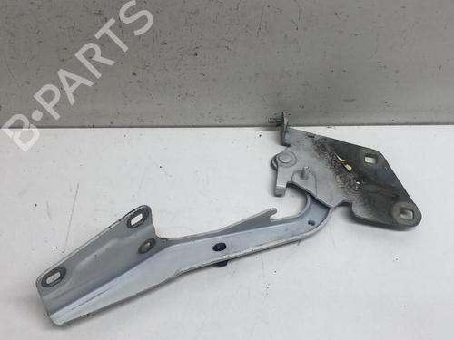 Used Hinge/Door check strap RENAULT MEGANE III Coupe (DZ0/1_) 1.9 dCi (DZ0N, DZ0J, DZ1J, DZ1K) (131 hp) 18216541