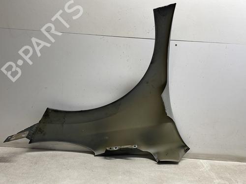 Left front fenders PEUGEOT 207 (WA_, WC_) 1.6 HDi | BP26654187C41 