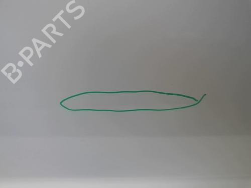 Right front door RENAULT KANGOO Express (FC0/1_) 1.5 dCi (FC1G) | BP18214516C3 