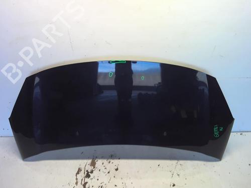 Hood CITROËN C3 II (SC_) 1.6 BlueHDi 75 | BP18212575C1 
