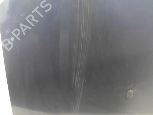 Used Hood FORD FUSION (JU_) 1.4 TDCi (68 hp) 18218387