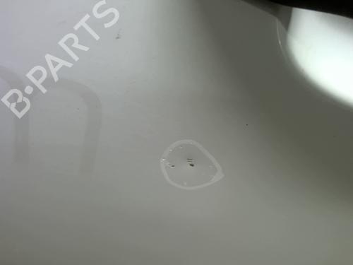 Left front door RENAULT KANGOO / GRAND KANGOO II (KW0/1_) 1.5 dCi 90 (KW05, KW08, KW0G, KW11) | BP30457208C2 