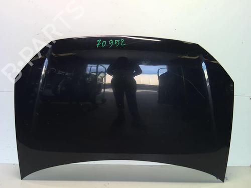 Hood VW POLO IV (9N_, 9A_) 1.4 TDI | BP20291660C1 