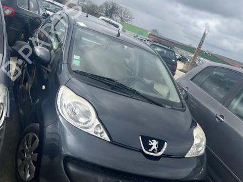Left front door PEUGEOT 107 (PM_, PN_) 1.0 | BP23214818C2