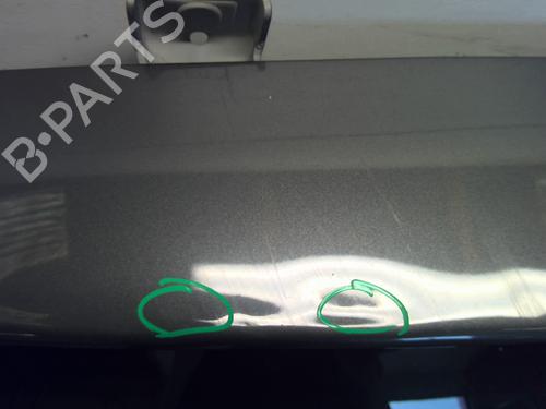 Tailgate PEUGEOT 3008 I MPV (0U_) 1.6 HDi | BP25897646C6 