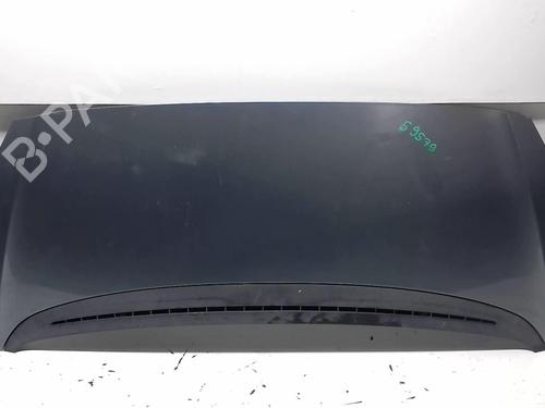 Used Hood PEUGEOT 1007 (KM_) 1.4 (75 hp) 18211734