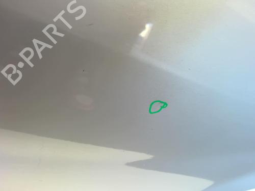 Left rear door DACIA SANDERO 1.2 16V | BP20484665C4