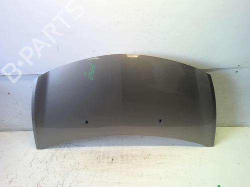 Used Hood RENAULT CLIO III (BR0/1, CR0/1) 1.2 16V (BR02, BR0J, BR11, CR02, CR0J, CR11) (75 hp) 18230985