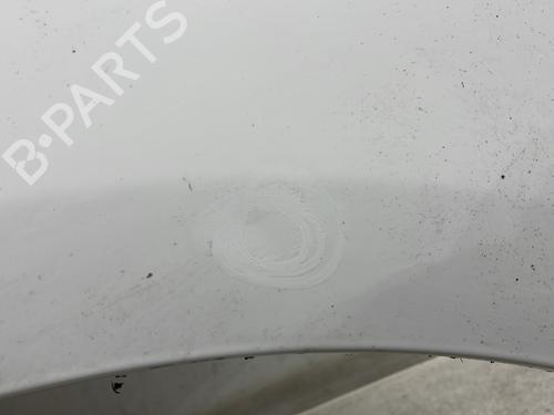 Left front fenders CITROËN C4 II (NC_) 1.6 HDi 115 | BP31351635C41 