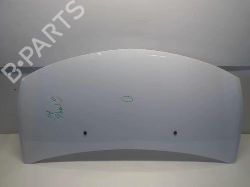 Hood RENAULT CLIO III (BR0/1, CR0/1) 1.2 16V (BR02, BR0J, BR11, CR02, CR0J, CR11) | BP18208674C1 