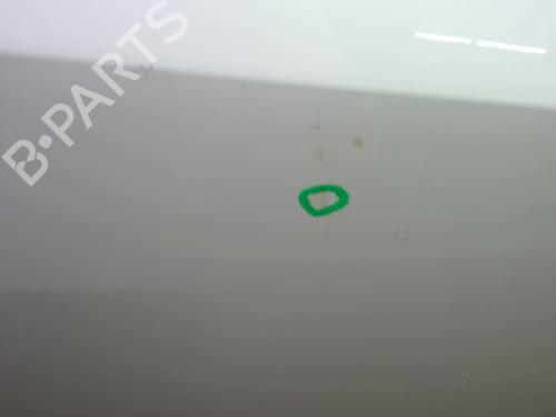 Right front door RENAULT CLIO III (BR0/1, CR0/1) 1.5 dCi (C/BR0G, C/BR1G) | BP23904970C3 