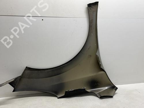 Left front fenders PEUGEOT 207 (WA_, WC_) 1.4 HDi | BP23887585C41 