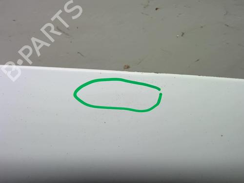 Hood RENAULT KANGOO / GRAND KANGOO II (KW0/1_) 1.5 dCi 90 (KW05, KW08, KW0G, KW11) | BP22236141C1 