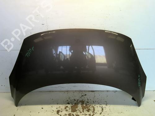 Panser RENAULT GRAND SCÉNIC III (JZ0/1_) 2.0 dCi (JZ0Y, JZ26) (150 hp) 26975145