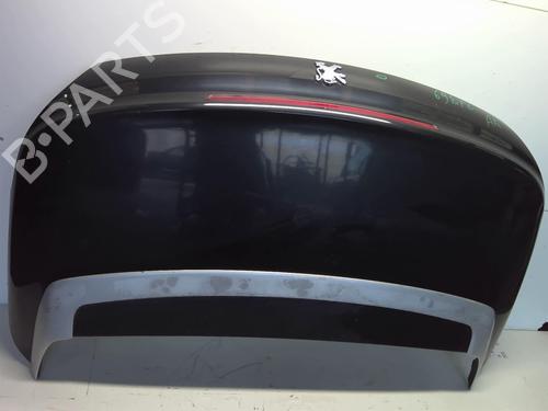 Tailgate PEUGEOT 207 CC (WD_) 1.6 16V | BP19033411C6 