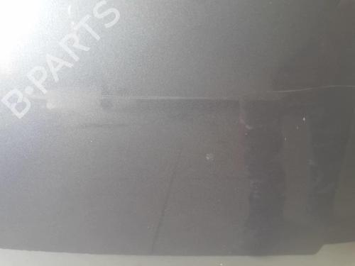 Hood RENAULT CLIO III (BR0/1, CR0/1) 1.5 dCi (BR17, CR17) | BP18231799C1 