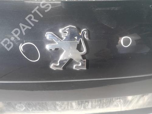 Used Tailgate PEUGEOT 207 (WA_, WC_) 1.4 HDi (68 hp) 18228276