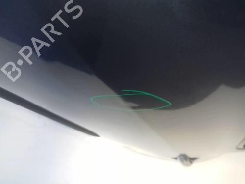 Left rear door RENAULT CLIO III (BR0/1, CR0/1) 1.5 dCi (BR17, CR17) | BP18228214C4 