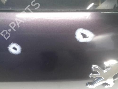 Tailgate PEUGEOT 307 (3A/C) 1.6 16V | BP18218199C6 