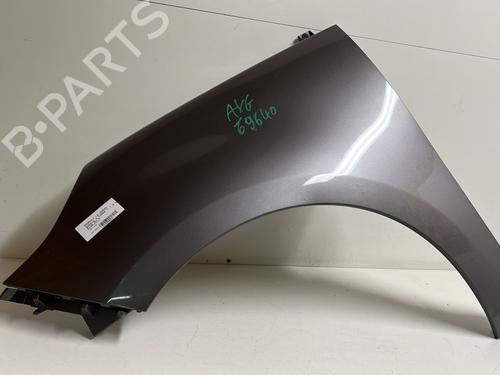 Left front fenders RENAULT SCÉNIC III (JZ0/1_) 1.9 dCi (JZ0J, JZ1J, JZ1K, JZ1S) | BP21488871C41 
