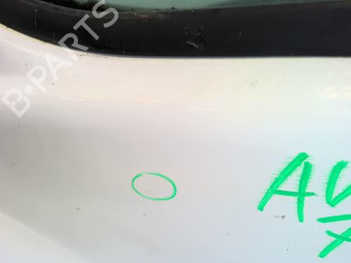 Left front door OPEL VIVARO A Van (X83) 2.0 CDTI (F7) | BP30701934C2 