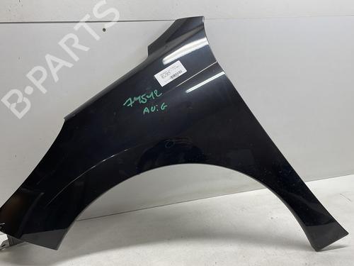 Used Left front fenders PEUGEOT 207 (WA_, WC_) 1.4 HDi (68 hp) 23887585