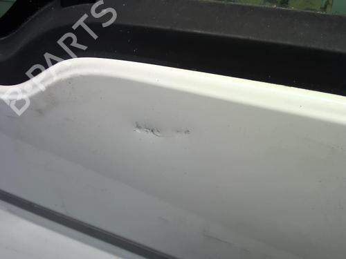 Left front door FORD TRANSIT CONNECT (P65_, P70_, P80_) 1.8 Di | BP21899742C2 