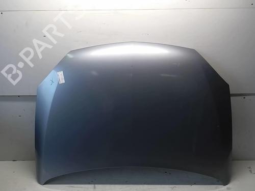 Capot OPEL CORSA C (X01) 1.3 CDTI (F08, F68) | BP18215666C1 