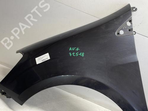 Left front fenders RENAULT CLIO III (BR0/1, CR0/1) 1.2 16V Hi-Flex (BR1U, CR1U) | BP25407849C41 