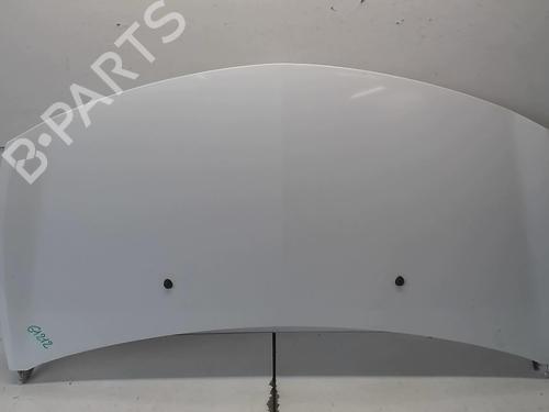 Used Hood RENAULT CLIO III (BR0/1, CR0/1) 1.5 dCi (C/BR0G, C/BR1G) (68 hp) 18218302