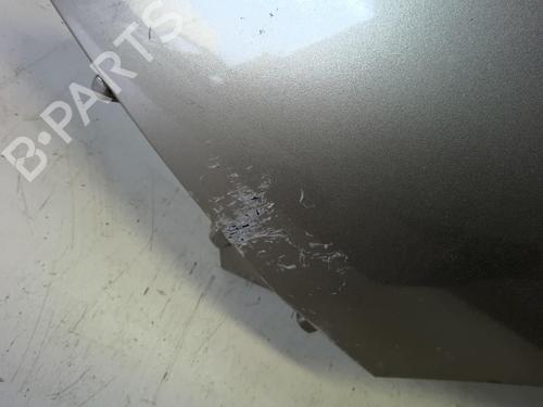 Used Left front fenders RENAULT SCÉNIC III (JZ0/1_) 1.5 dCi (106 hp) 18220163