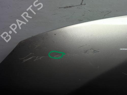Hood RENAULT MEGANE III Hatchback (BZ0/1_, B3_) 1.6 16V Hi-Flex (BZ03) | BP24401617C1 