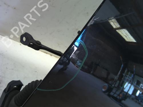 Left front door RENAULT TWINGO II (CN0_) 1.2 16V (CN04, CN0B) | BP29029479C2 