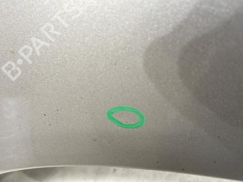 Left front fenders FORD FIESTA VI (CB1, CCN) 1.4 TDCi | BP27162044C41 