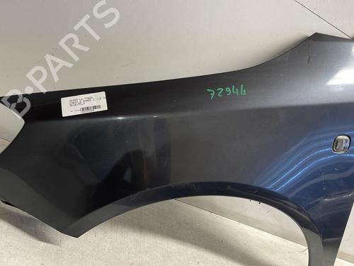 Left front fenders SKODA FABIA II (542) 1.6 TDI | BP26706106C41