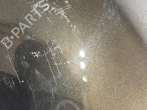 Guarda-lamas esquerdo Guarda-lamas esquerdo CITROËN DS4 (NX_) 2.0 HDi 165 (163 hp) 33876300 33876300