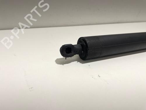 tailgate-lift-support-ford-kuga-ii-dm2-2012-40253687 main image