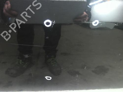 Left rear door RENAULT SCÉNIC III (JZ0/1_) 1.5 dCi | BP18216747C4 